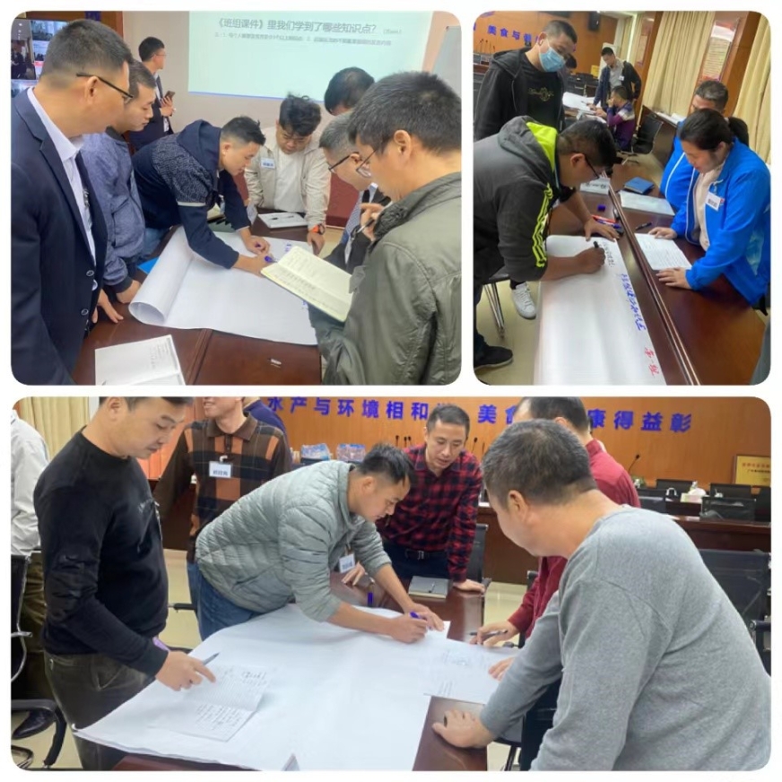 1648541604179104.jpg 9.jpg